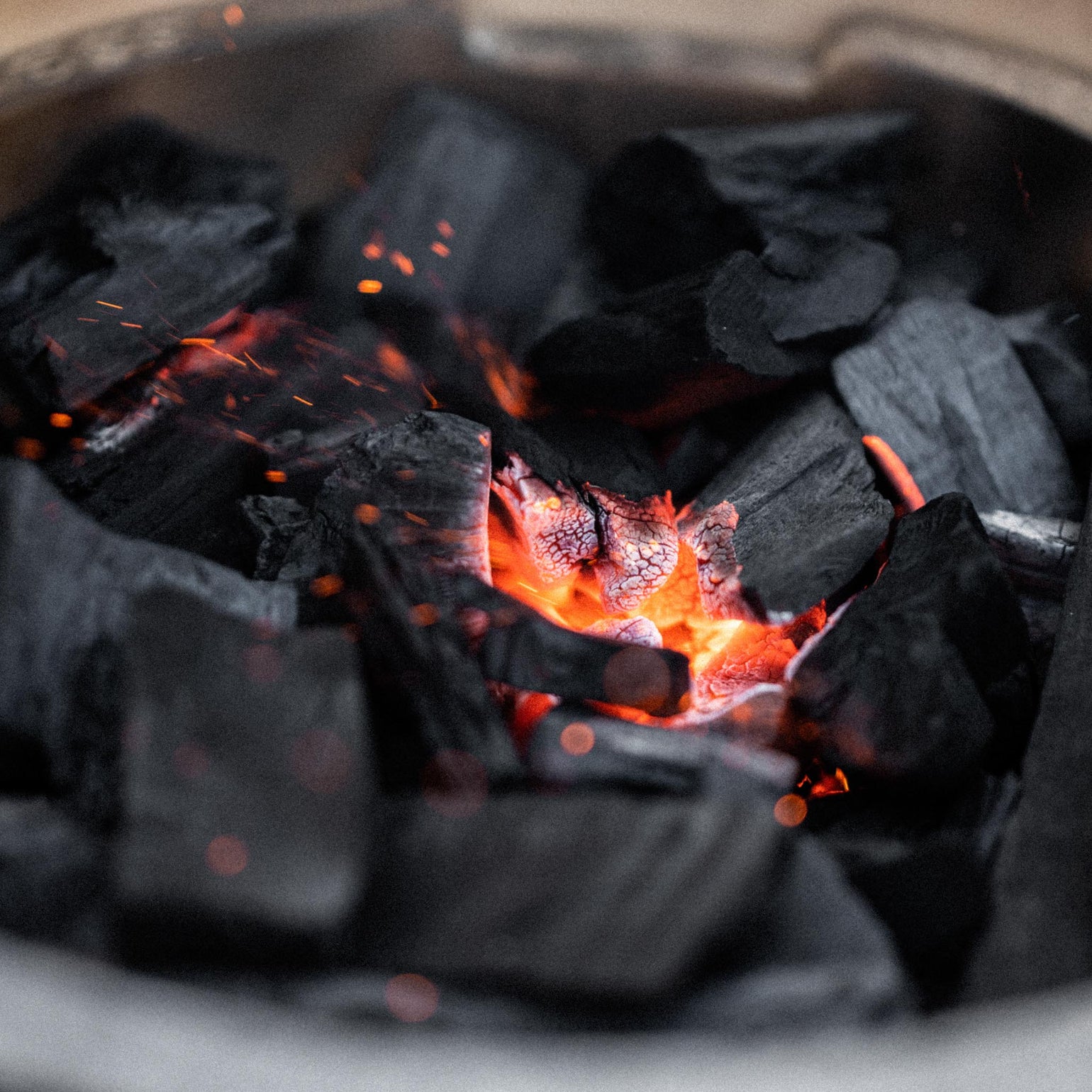 products/BigGreenEgg-39.jpg